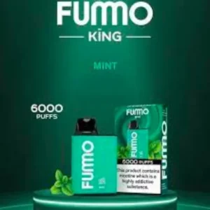 fummo-king-6000-mint disposable-vape