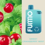 FUMMO SPIN Sweet Cranberry Mint