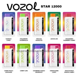 Vozol Star 12000 puffs