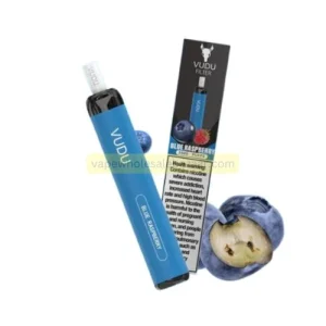 Vudu Filter 2500 Puffs Blue Raspberry